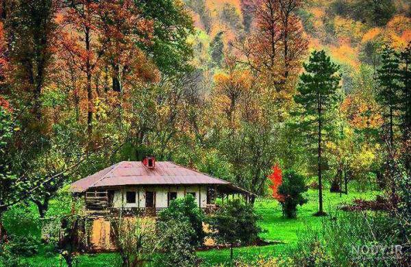 رشت زیبای من رشت زیبای من