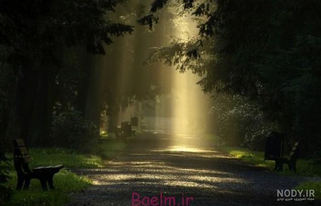 زیباترین عکسهای طبیعت برای پروفایل