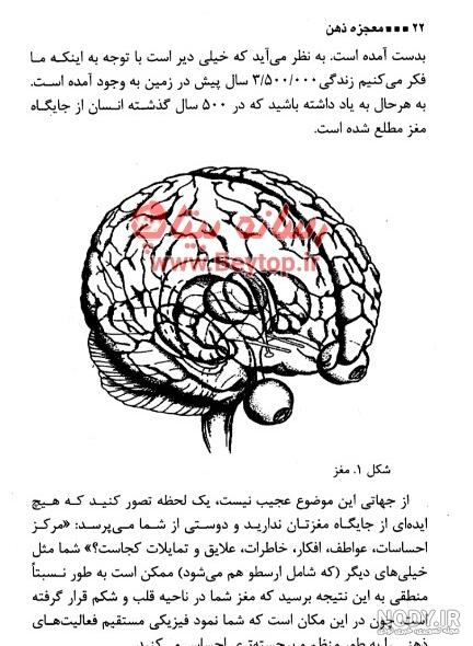 سایت ذهن برتر