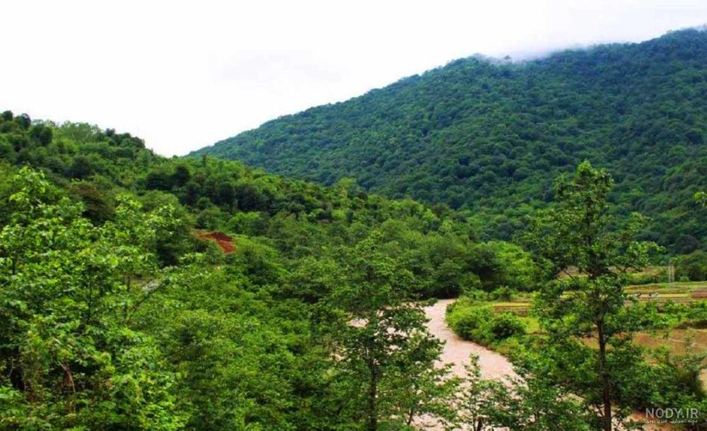 سفر به رشت در کرونا سفر به رشت در کرونا