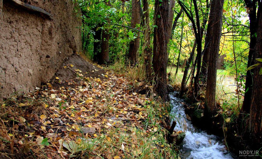 عکس از طبیعت