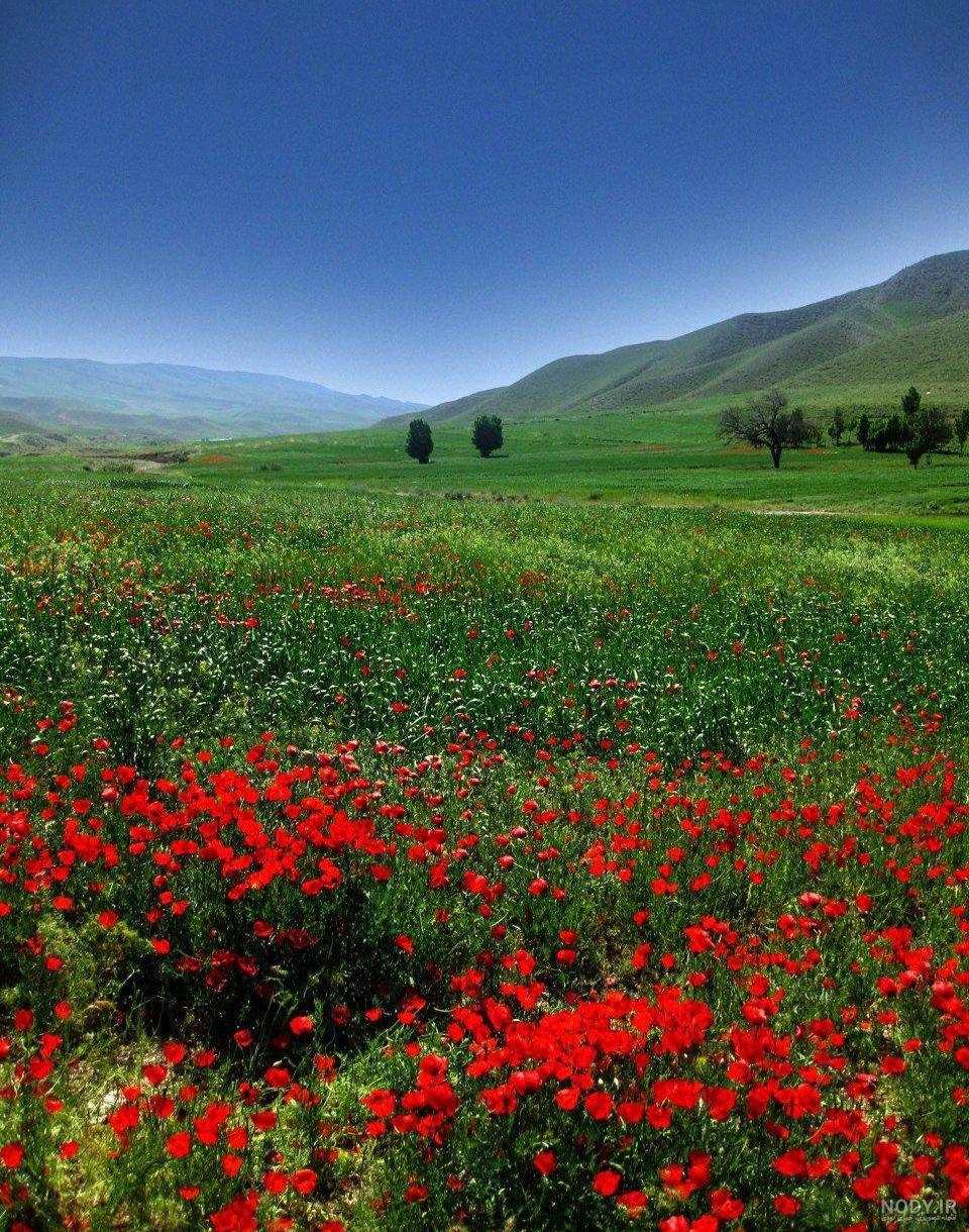 عکس از طبیعت زیبای ایران