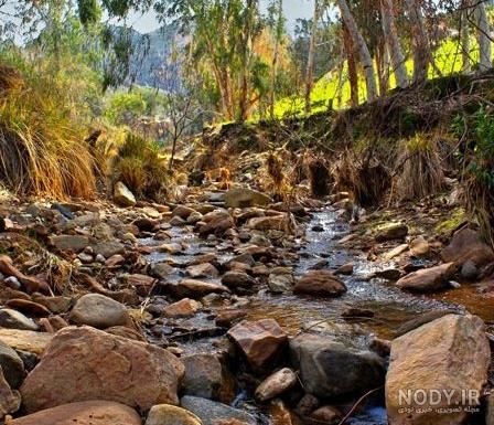 عکس از طبیعت زیبای شمال ایران