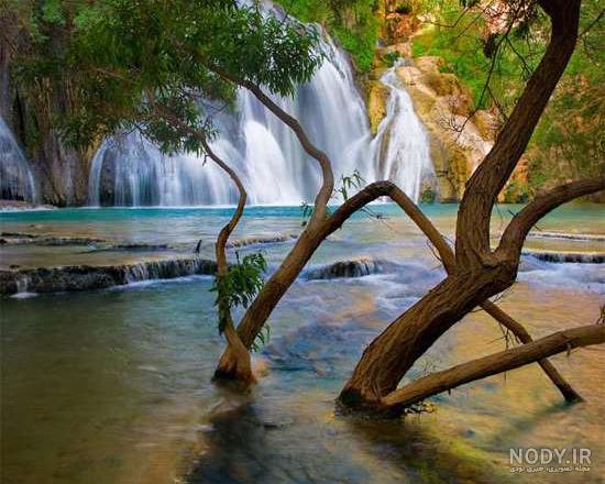 عکس از طبیعت ناب
