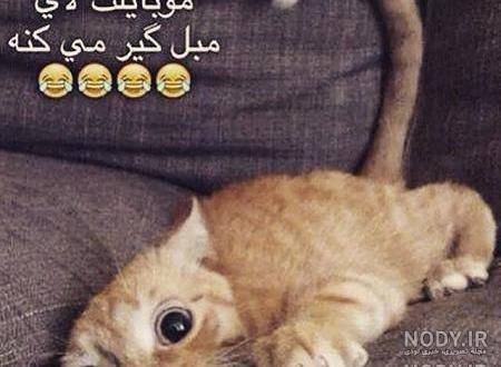عکس خنده دار دخترانه برای استوری عکس خنده دار دخترانه برای استوری