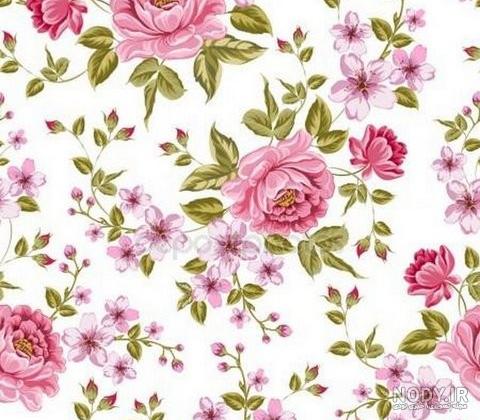 عکس صفحه سفید خالی عکس صفحه سفید خالی