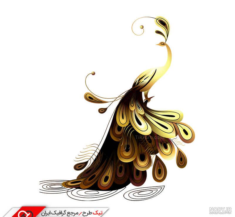 عکس طاووس ماده زیبا عکس طاووس ماده زیبا