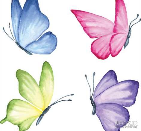 عکس پروانه های زیبا برای نقاشی