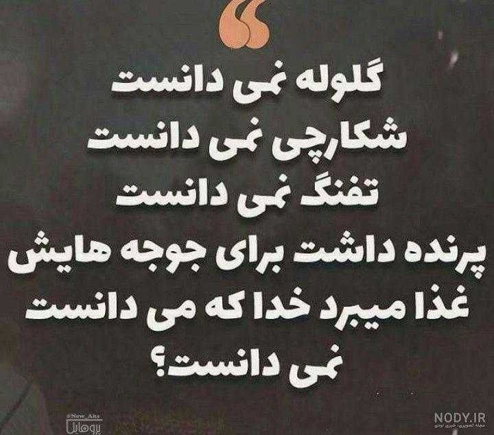 عکسهای بسیار زیبا عکسهای بسیار زیبا