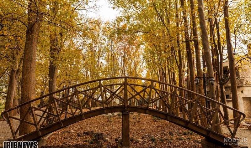 عکسهای زشت طبیعت عکسهای زشت طبیعت