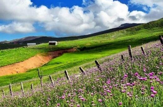 قشنگترین عکس طبیعت