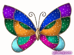 نقاشی پروانه زیبا حرفه ای