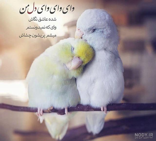 عکس پروفایل عاشقانه هانیه عکس پروفایل عاشقانه هانیه