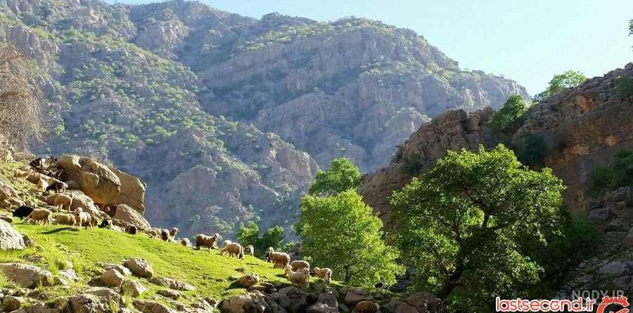 تصاویر شیمبار