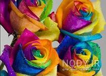دسته گل زیبا برای دوست
