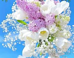 ذکر روز دوشنبه با معنی ذکر روز دوشنبه با معنی