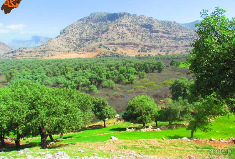 شیرین بهار مسجدسلیمان