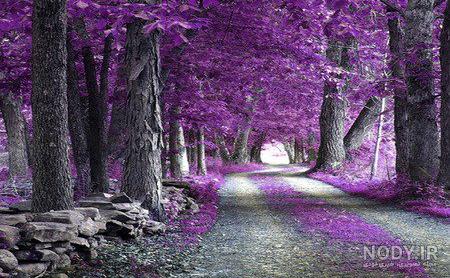 عکس جاده زیبا برای پروفایل عکس جاده زیبا برای پروفایل
