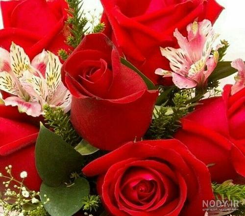 عکس صبح بخیر به عربی