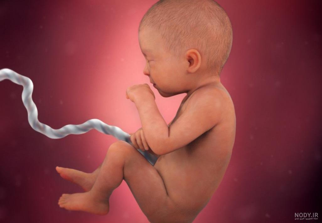 عکس نوزاد 8 ماهه دختر عکس نوزاد 8 ماهه دختر