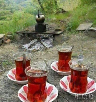 عکس چای در طبیعت پاییزی