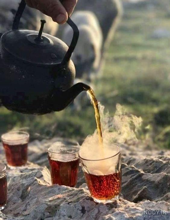 عکس چای دونفره در طبیعت