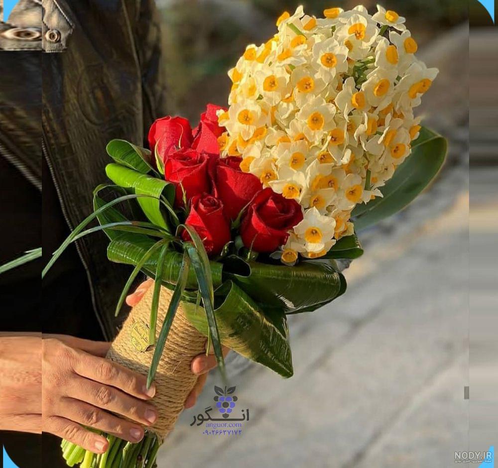 عکس گل نرگس شهلا