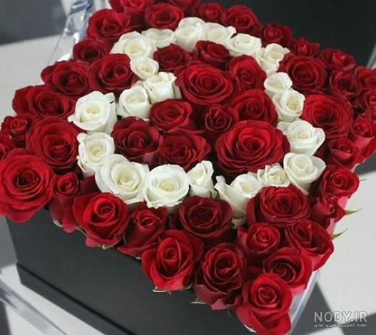 عکس گلهای بسیار زیبای جهان برای پروفایل عکس گلهای بسیار زیبای جهان برای پروفایل
