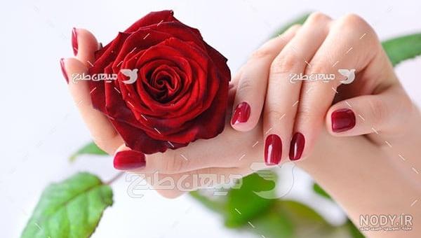 عکس گلهای زیبا با نوشته های قشنگ عکس گلهای زیبا با نوشته های قشنگ