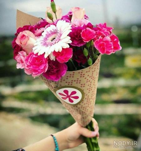 عکسهای گلهای زیبا قشنگ عکسهای گلهای زیبا قشنگ