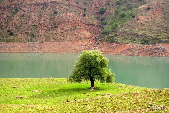 فاصله اهواز تا شیمبار