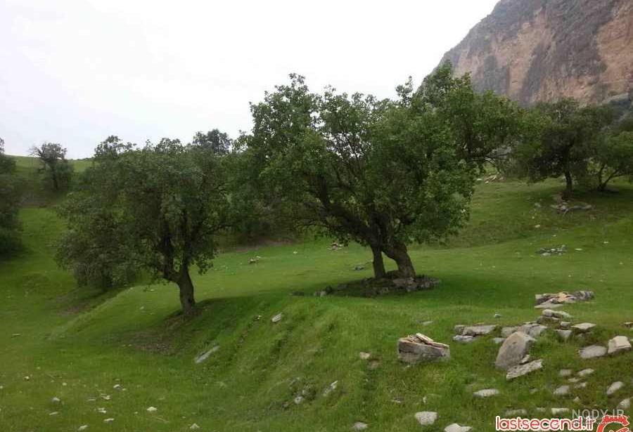 نقشه شیمبار