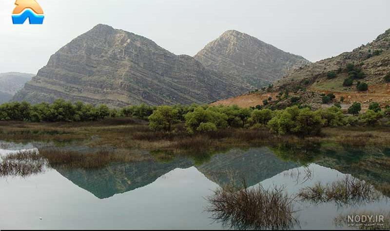 چلو شیمبار