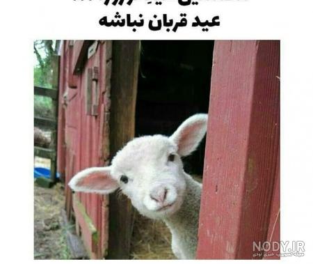 عکس نوشته جالب سال نو