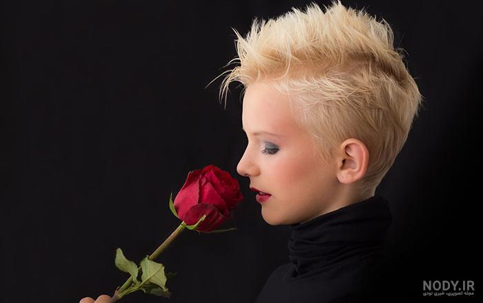 عکس گل رز سفید عاشقانه