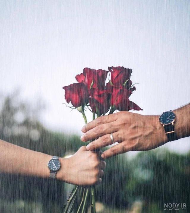 عکس گل رز قرمز و آبی