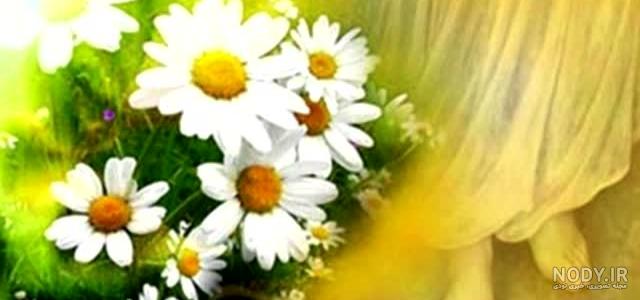 آهنگ پیشواز امید غریبان تنها کجایی آهنگ پیشواز امید غریبان تنها کجایی