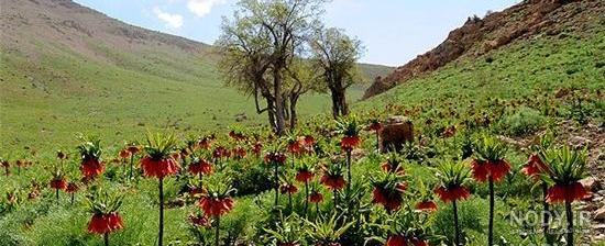 انشا درباره لرستان