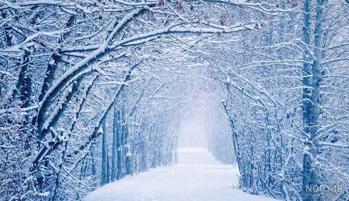 تصاویر زیبا از طبیعت زمستانی
