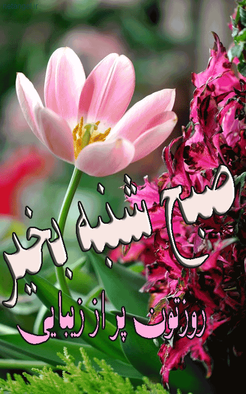 جملات مثبت برای شروع روز
