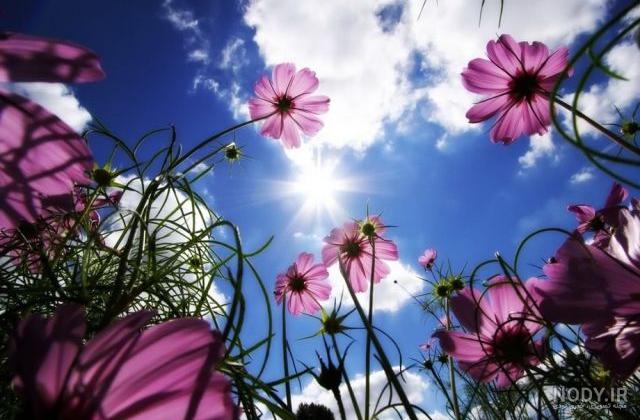 دانلود عکس طبیعت برای موبایل دانلود عکس طبیعت برای موبایل