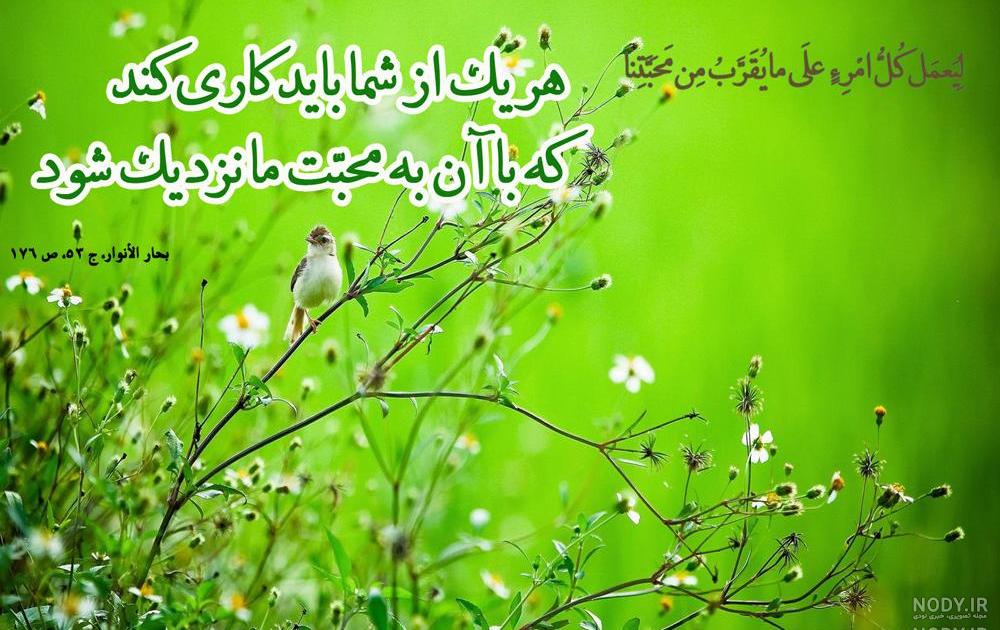 دانلود مجموعه تصاویر امام زمان