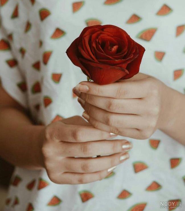 شب بخیر داداش گلم شب بخیر داداش گلم