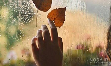 عکس درخت پاییزی عکس درخت پاییزی