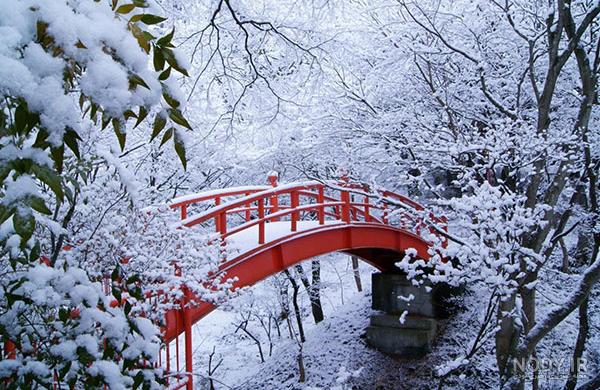 عکس زیبا از طبیعت در زمستان