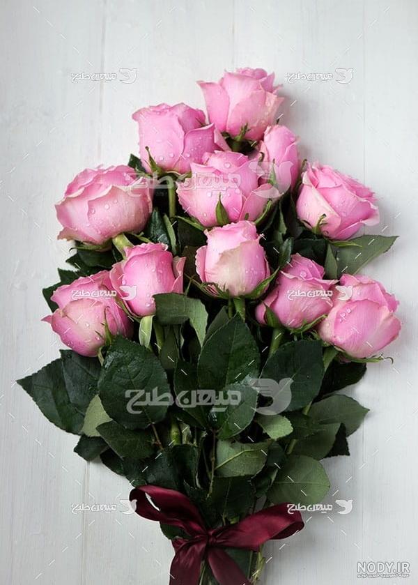 عکس زیباترین گل های رز صورتی