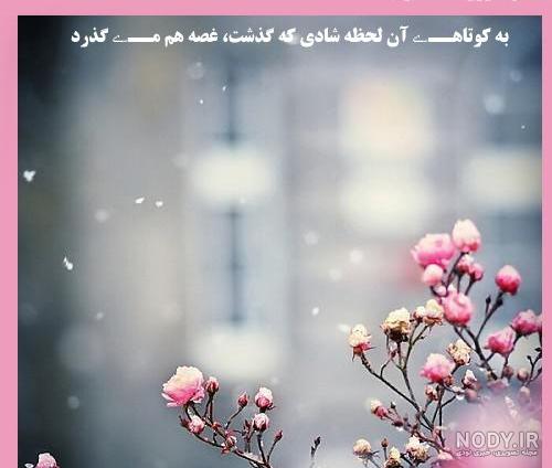 عکس صبح شنبه تون بخیر