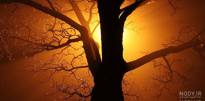 عکس ضد نور به انگلیسی