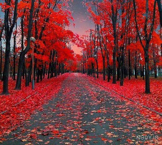 عکس طبیعت زیبا و شیک