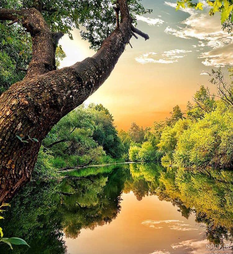 عکس طبیعت واقعی عکس طبیعت واقعی